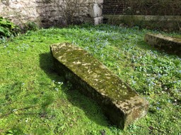 A stone coffin laying in grass. It is old and covered in moss. It is a unmarked grave.