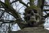 Skull and crossbones statue